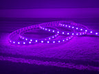 StripGlow 5M Room Glow Kit (Waterproof – IP67)